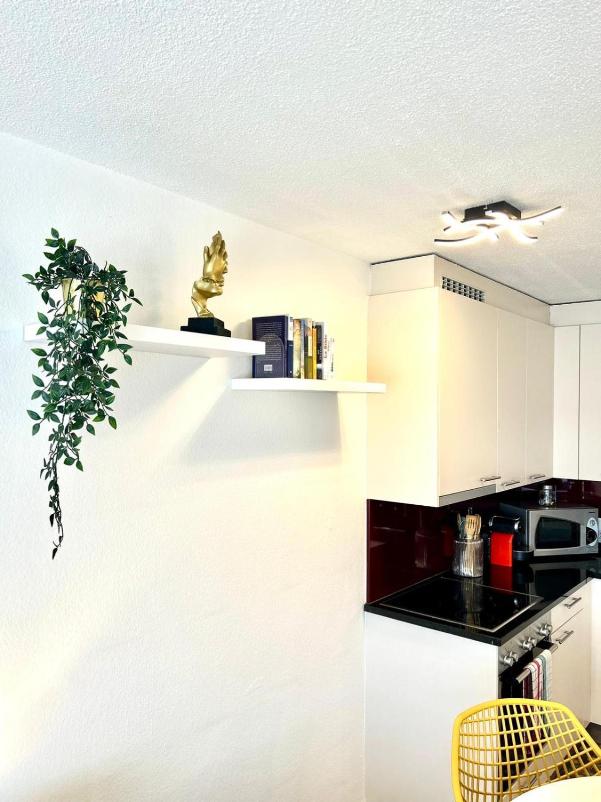 Little Penthouse **** Apartment Dietikon