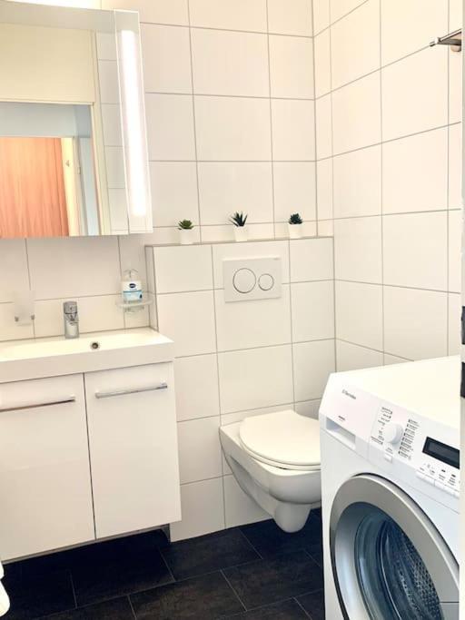 Little Penthouse **** Dietikon