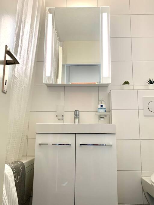Little Penthouse **** Dietikon