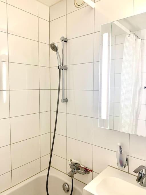Apartment Little Penthouse **** Dietikon